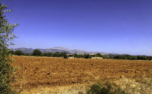 Land in Buger, Balearic Islands, Spain 1