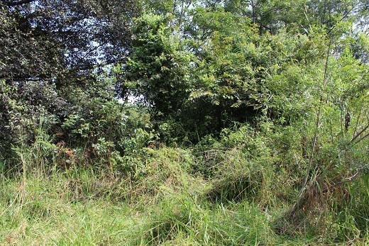 Land in San José, Guanacaste Province, Costa Rica 5 - 18004719