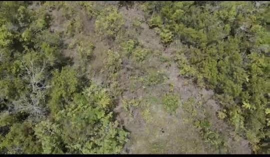 Land in Bacalar, Quintana Roo, Mexico 2 - 18006621
