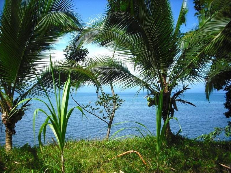 Land in Punta Laurel, Bocas del Toro Province, Panama 2 - 18004554