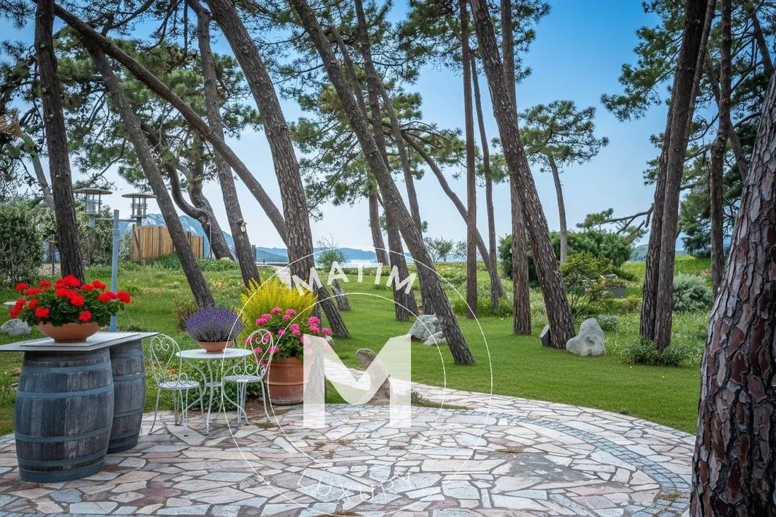 Villa in Lecci, Corsica, France 3 - 17967045