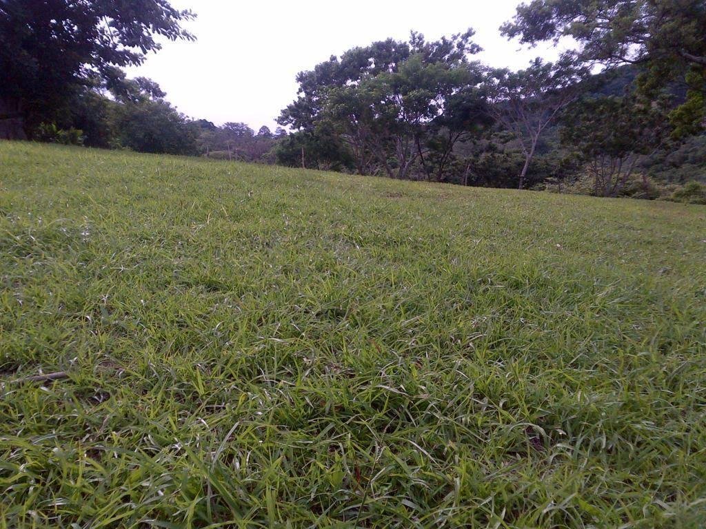 Land in Santa Ana, San José Province, Costa Rica 4 - 18004797