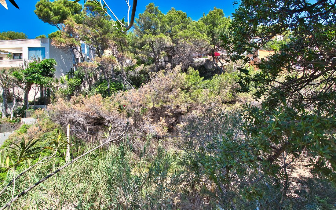 Land in Costa de la Calma, Calvia, Balearic Islands 5 - 18008555