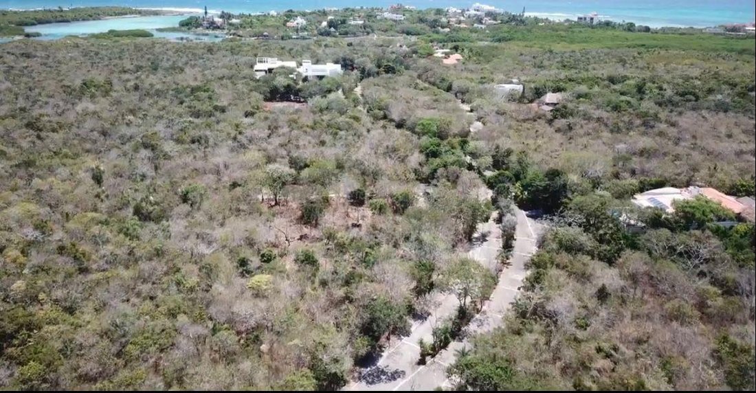 Land in Playa del Carmen, Quintana Roo, Mexico 4 - 18006622