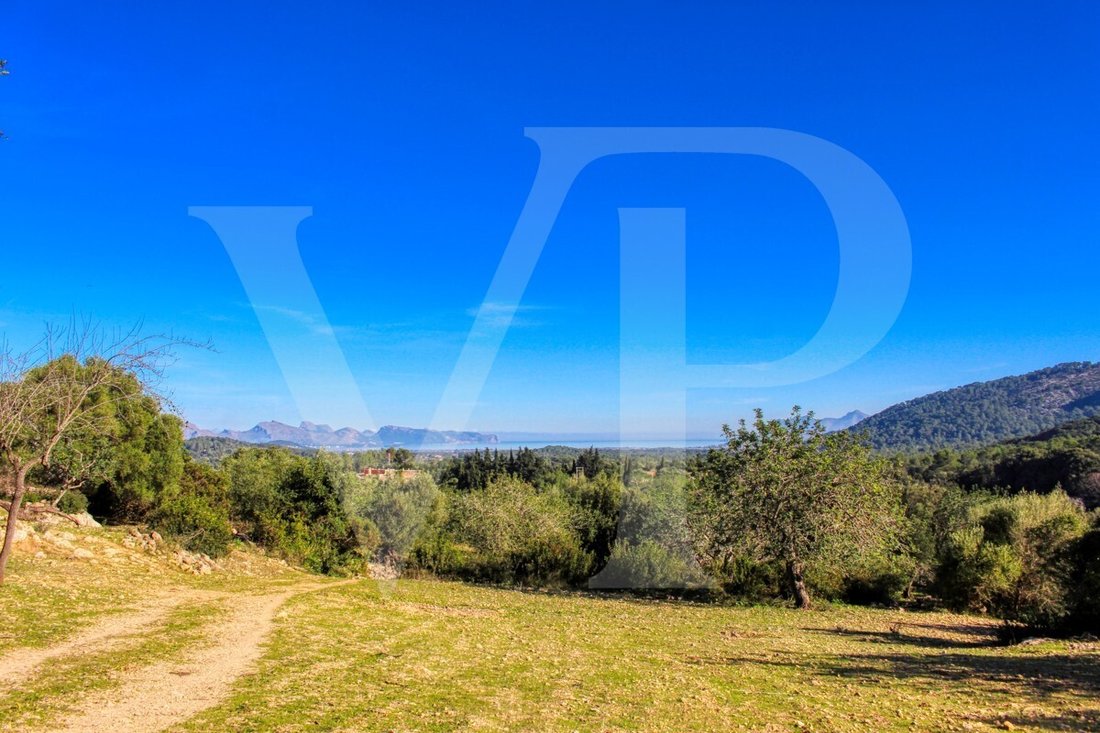 Finca in Pollenca, Balearic Islands, Spain 1 - 18009011