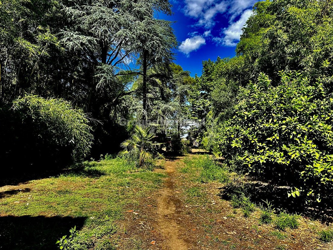 House in Mauguio, Occitania, France 5 - 18008658