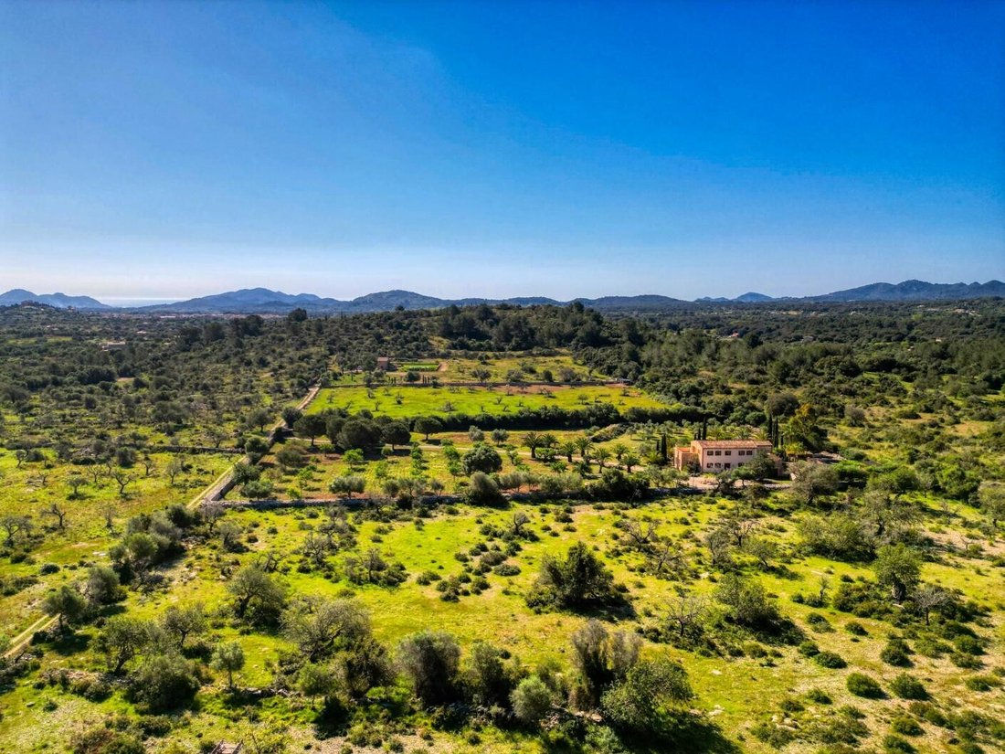 Land in Arta, Balearic Islands, Spain 5 - 18010748