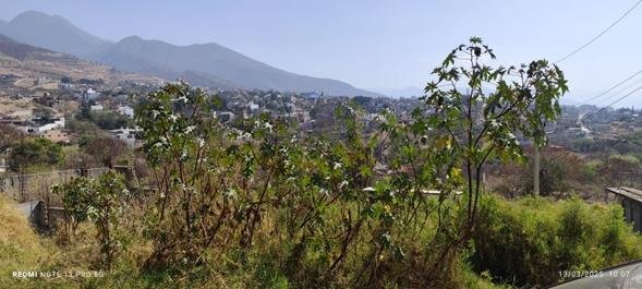 Land in San Felipe del Agua, Oaxaca, Mexico 3 - 18004964