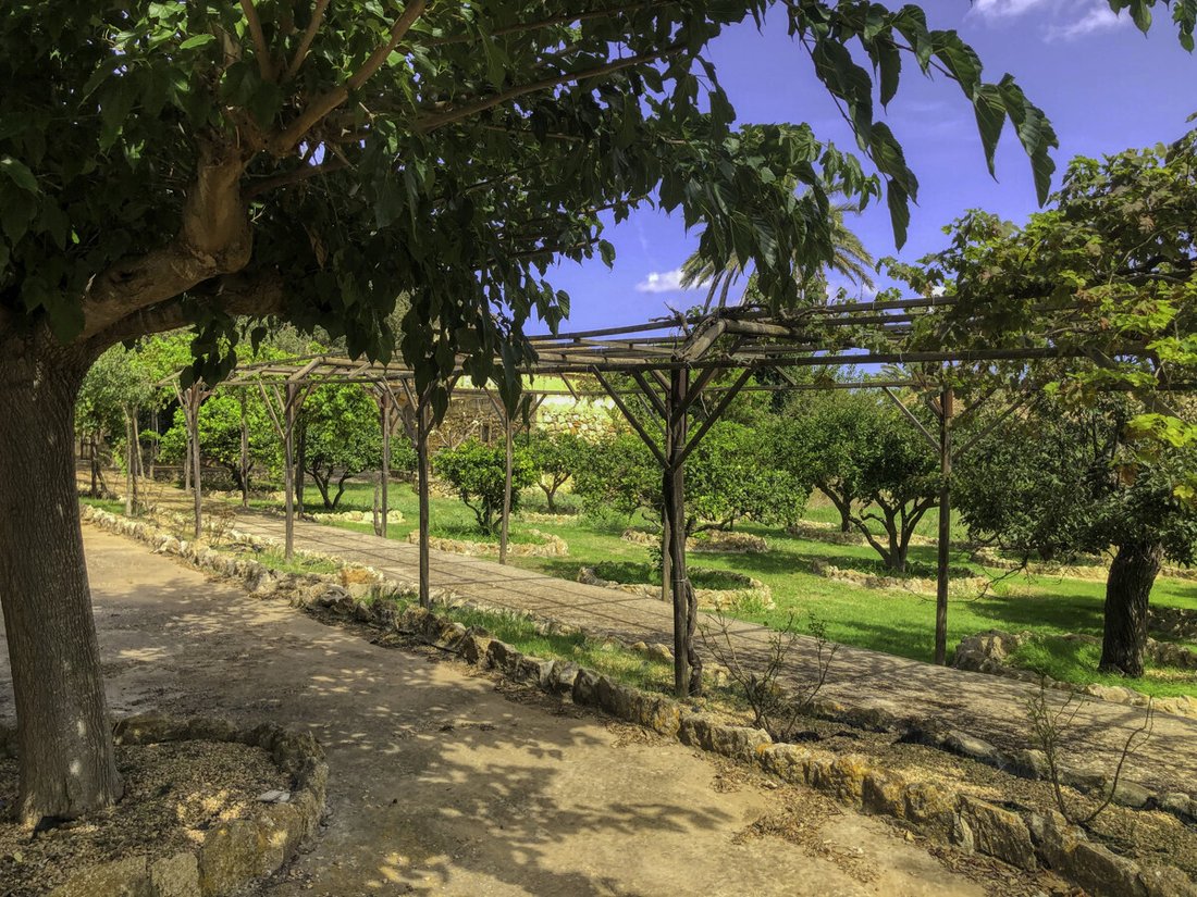 House in Sant Llorenc des Cardassar, Balearic Islands, Spain 5 - 18010252
