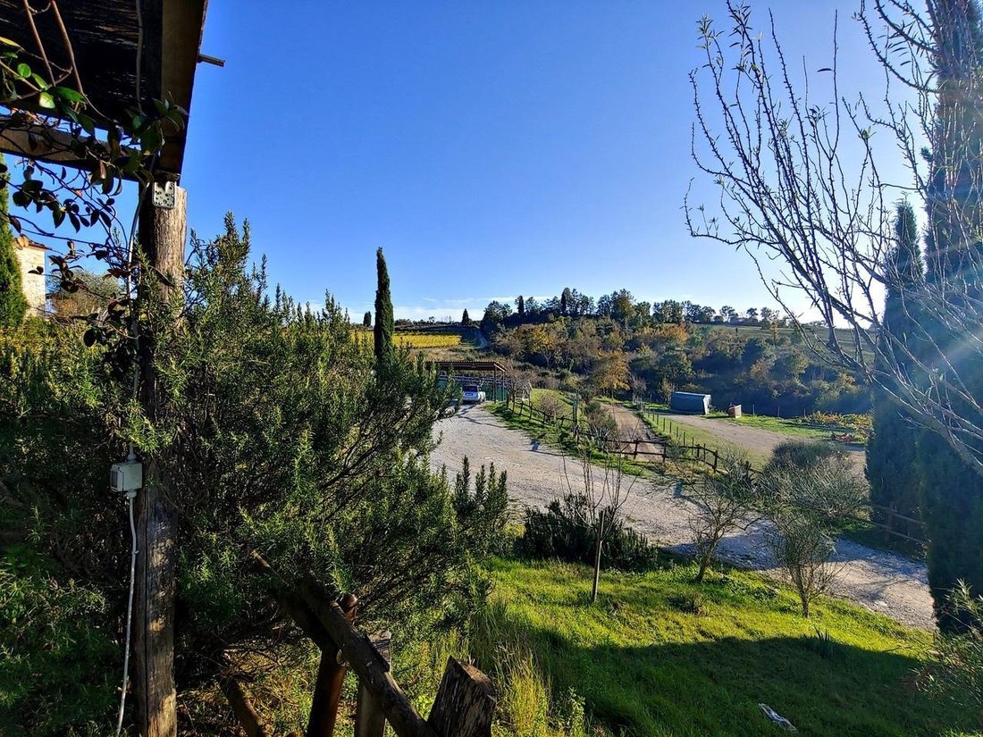 Country House in Rapolano Terme, Tuscany, Italy 5 - 18010394