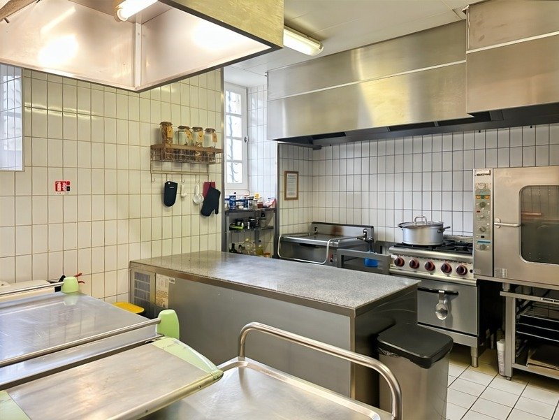 For Sale Near Marciac (32) 32 Room Castle 1540 M2 Of Living Space 5.8 Hectare Estate