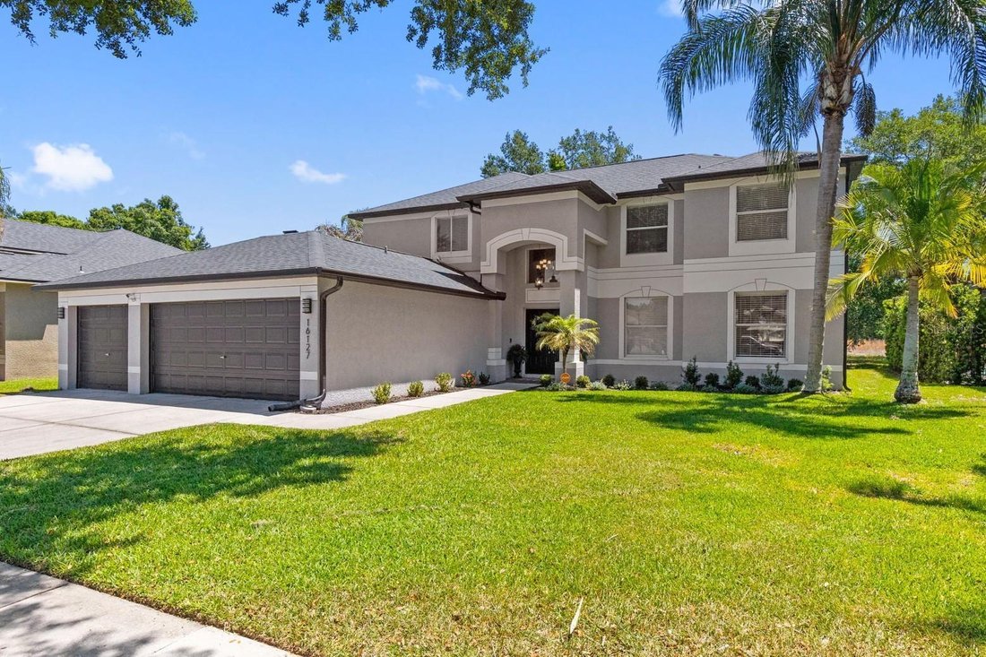House in Odessa, Florida, United States 3 - 18004752