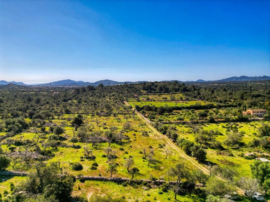 Land in Arta, Balearic Islands, Spain 1 - 18010748