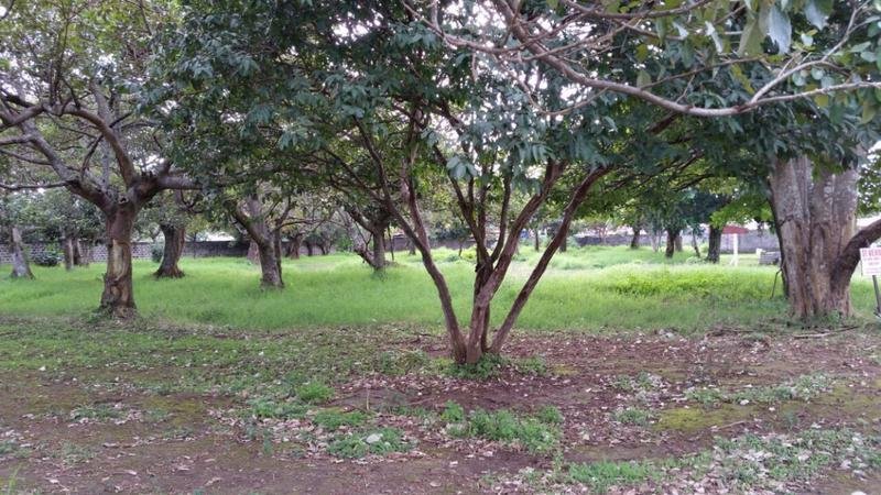 Land in Flores, Flores, Costa Rica 4 - 18004529