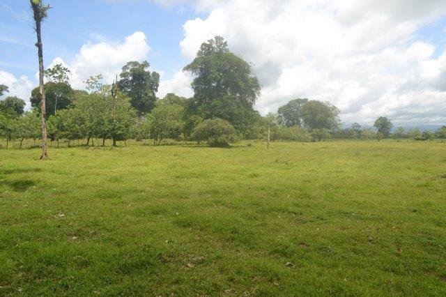 Land in Río Frío, Heredia Province, Costa Rica 3 - 18004675