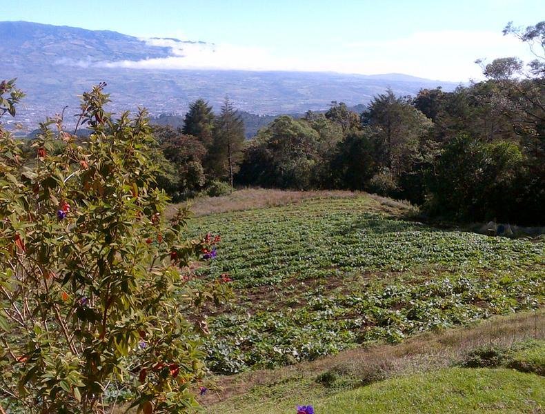 House in San Isidro, Cartago Province, Costa Rica 1 - 18004581