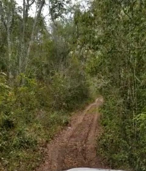 Land in Bacalar, Quintana Roo, Mexico 1 - 18006621