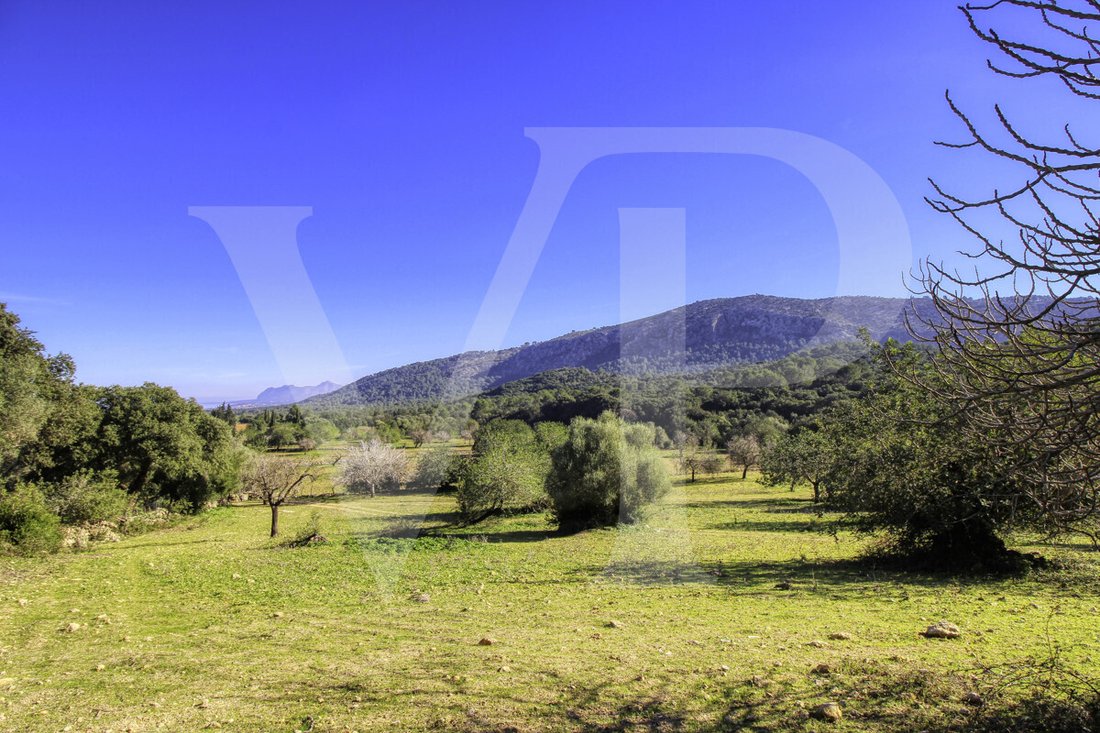 Finca in Pollenca, Balearic Islands, Spain 2 - 18009011