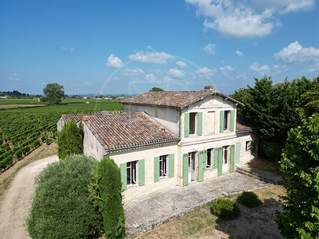 Villa in Saint-Émilion, Nouvelle-Aquitaine, France 2 - 18009345