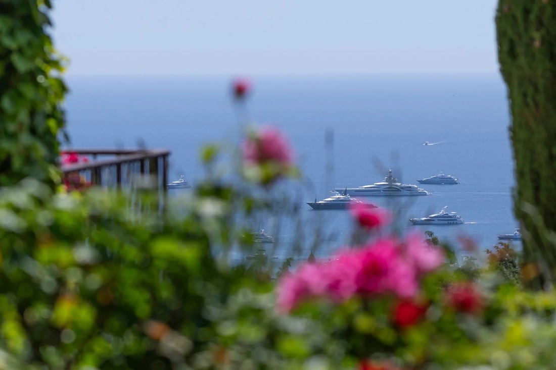 Villa en Cannes, Provenza-Alpes-Costa Azul, Francia 4 - 14785225
