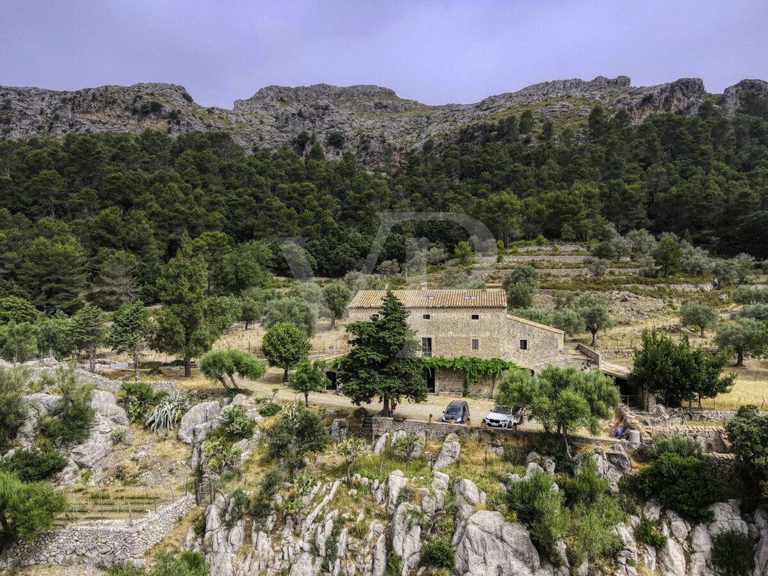 Altro a Escorca, Isole Baleari, Spagna 1 - 18008858
