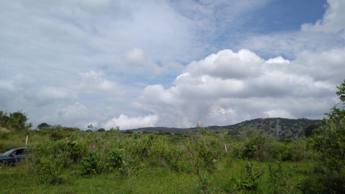 Terreno en Pueblo Nuevo Milenio, Jalisco, México 1 - 18006683
