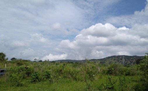 Land in Pueblo Nuevo Milenio, Jalisco, Mexico 1