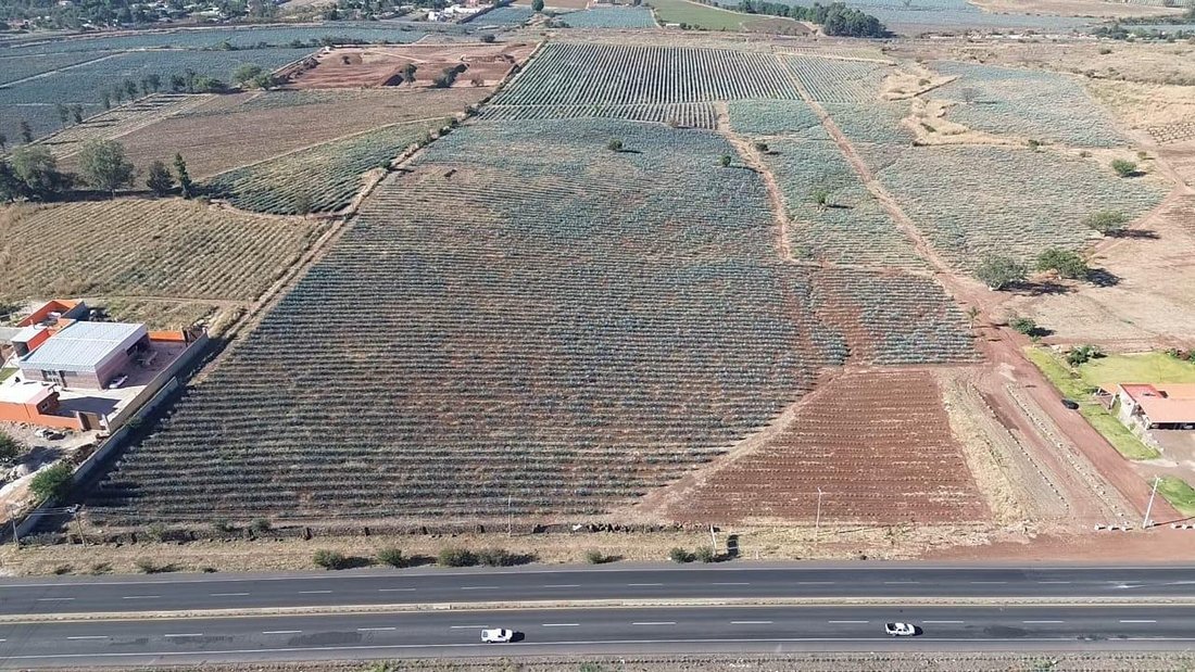 Land in El Arenal, Jalisco, Mexico 1 - 18006764