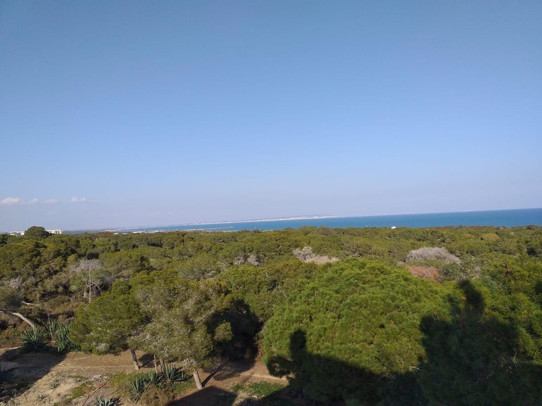 Apartment in Guardamar del Segura, Valencian Community, Spain 4 - 18011488
