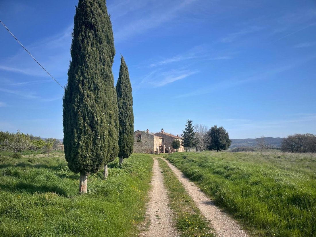 Country House in Asciano, Tuscany, Italy 3 - 18010359