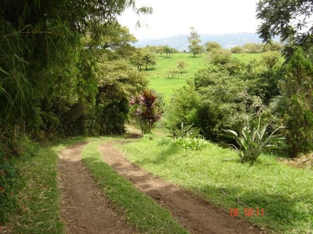 House in San Isidro, San José Province, Costa Rica 5 - 18004543