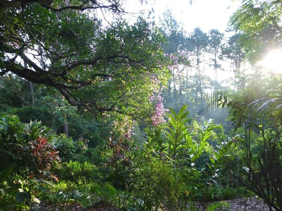 House in San Antonio, San José Province, Costa Rica 3 - 18004905