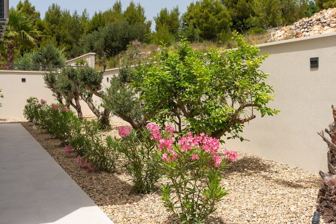Villa in Miljevac, Split-Dalmatia County, Croatia 3 - 18013550