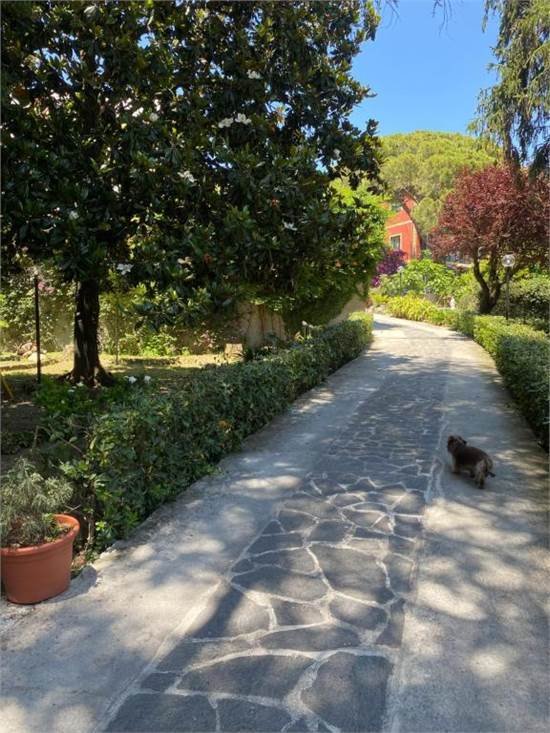 Villa in Center, Santa Margherita Ligure, Liguria 5 - 18012794