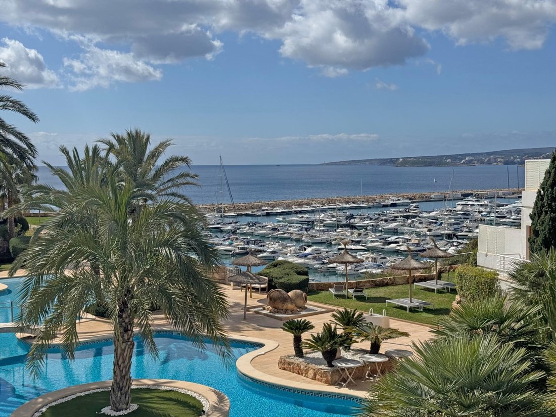 Appartement à Portals Nous, Calvià, Îles Baléares 1 - 18012823