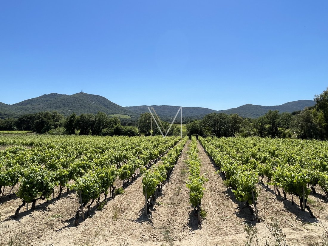 Villa in Le Plan-de-la-Tour, Provence-Alpes-Côte d'Azur, France 4 - 16247808