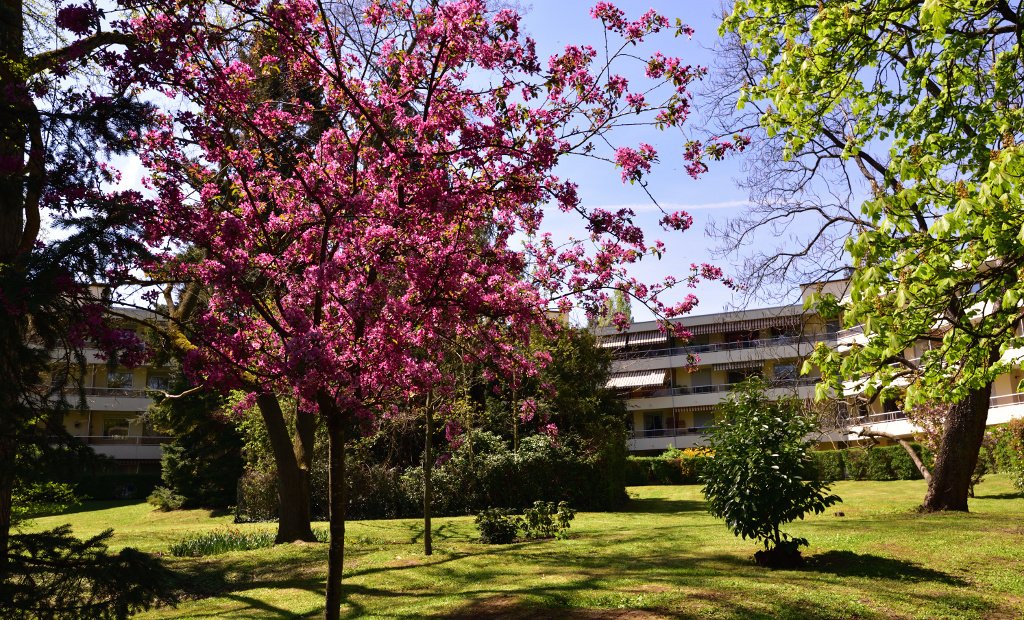 Apartment in Tassin le Bourg, Tassin-la-Demi-Lune, France 1 - 18013557