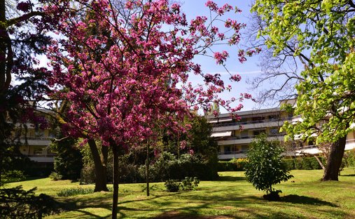 Apartment in Tassin le Bourg, Tassin-la-Demi-Lune, France 1