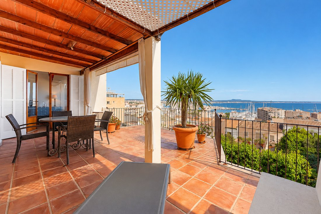 Villa in Palma, Balearic Islands, Spain 1 - 18012712
