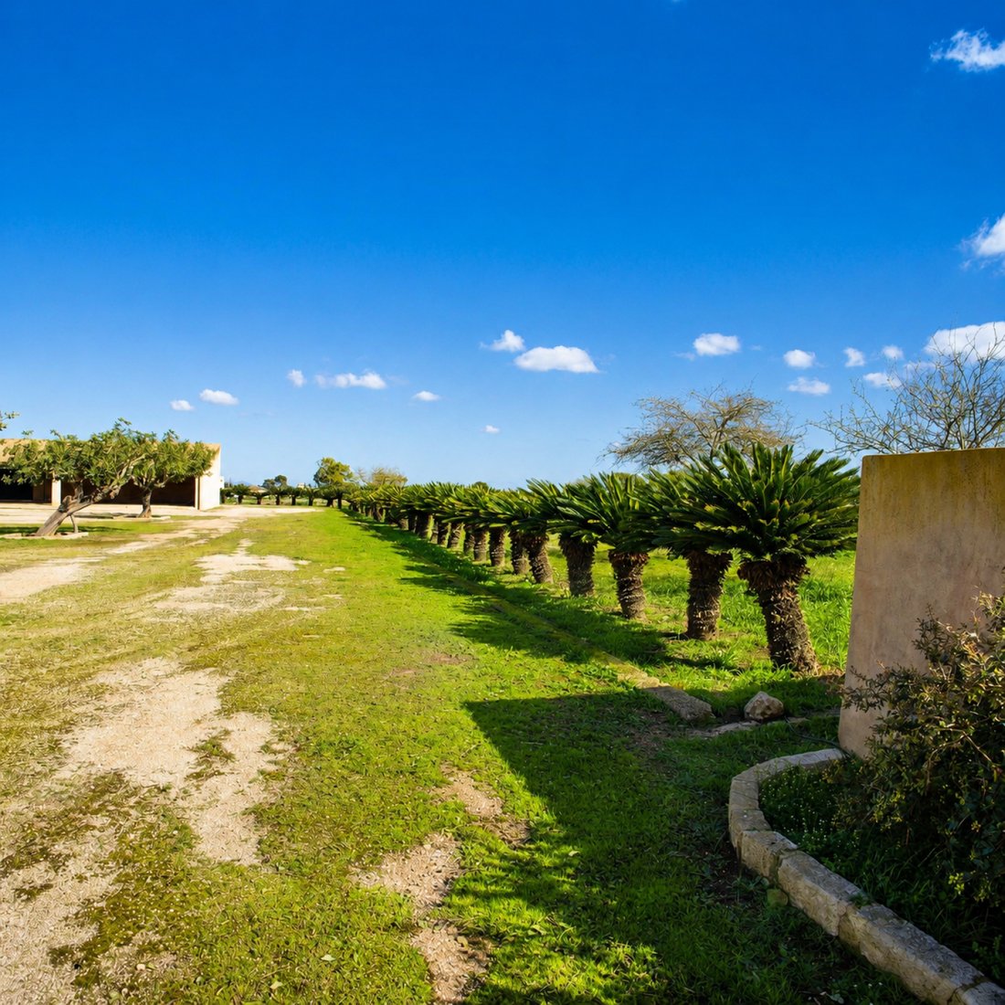 House in Alaro, Balearic Islands, Spain 5 - 17884030
