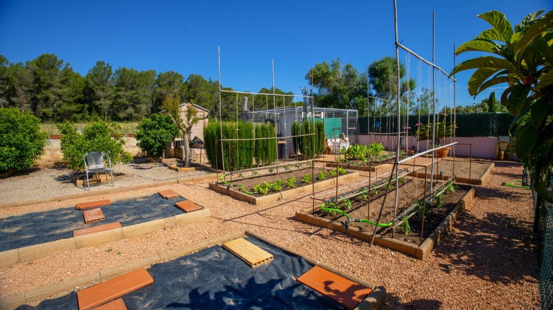 House in Son Serra de Marina, Santa Margalida, Balearic Islands 1 - 17562322