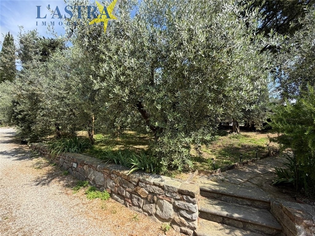 Apartment in Center, Catena, Tuscany 4 - 18012926
