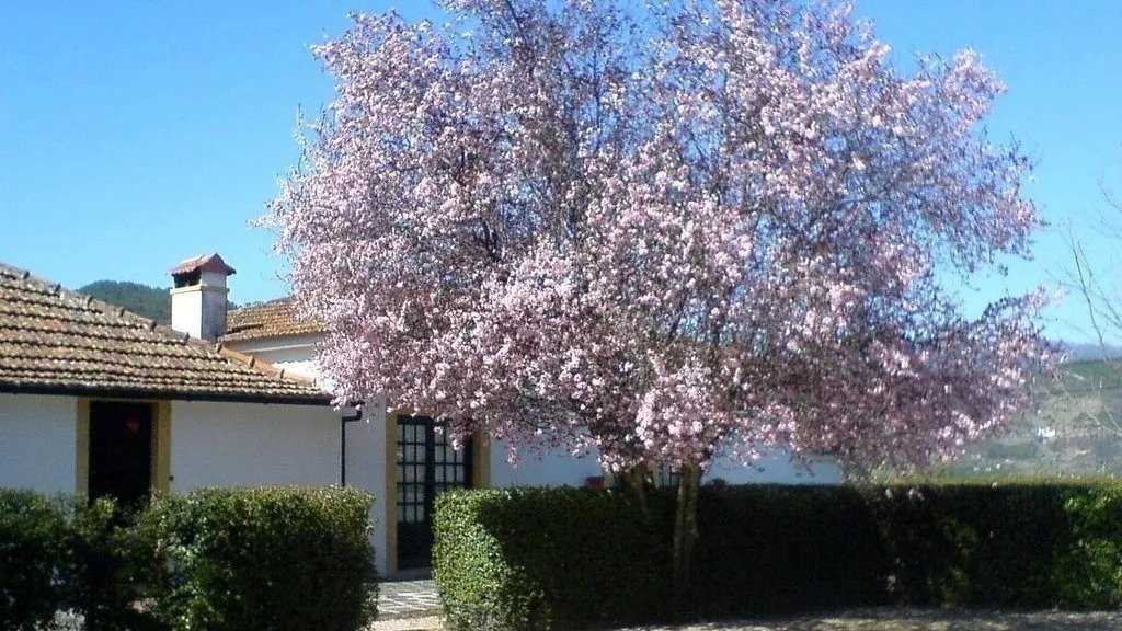 Villa in Aldoar, Foz do Douro e Nevogilde, Porto District, Portugal 1 - 18013110