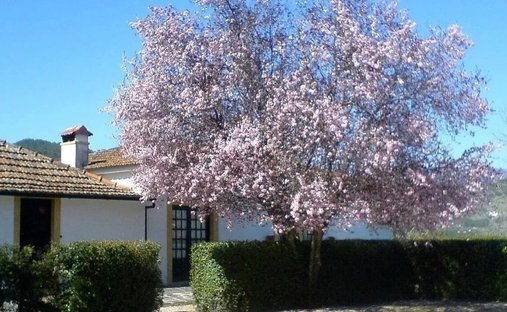 Villa in Aldoar, Foz do Douro e Nevogilde, Porto District, Portugal 1