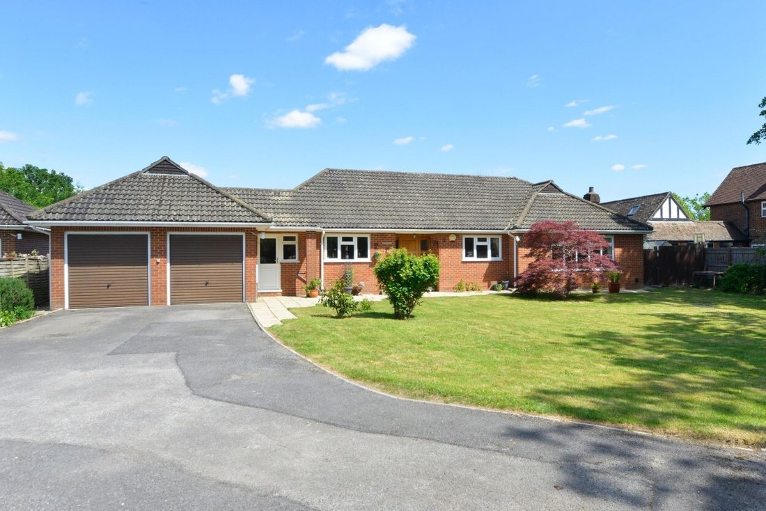 Bungalow in Cranleigh, England 1 - 18012666