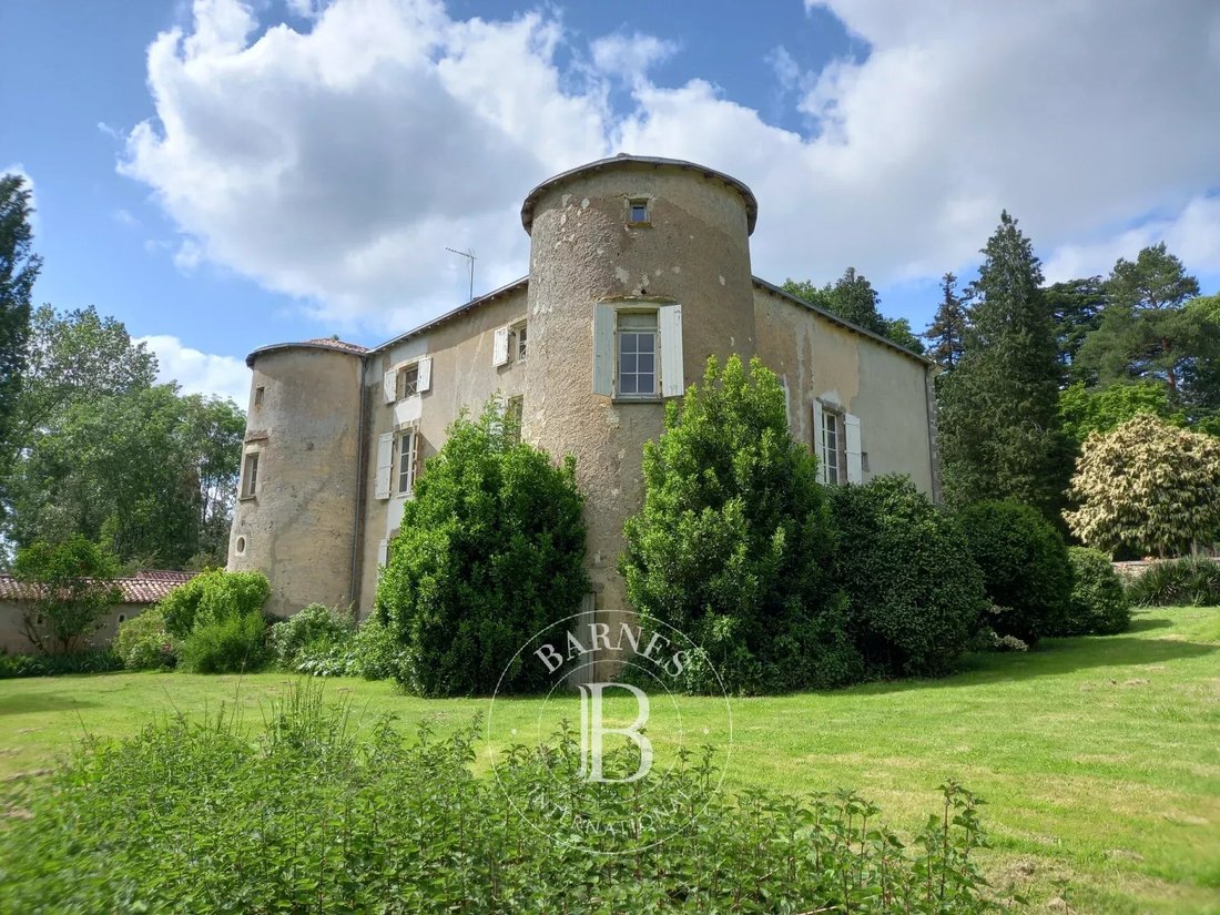 Castle in Poitiers, Nouvelle-Aquitaine, France 4 - 13684044