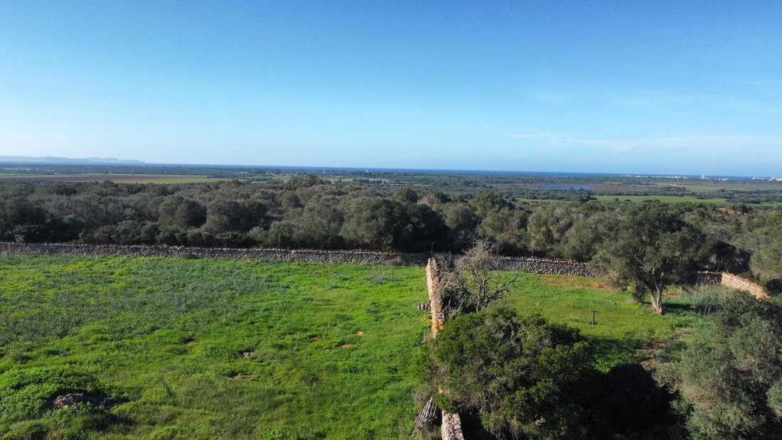 Land in ses Salines, Balearic Islands, Spain 4 - 18014357
