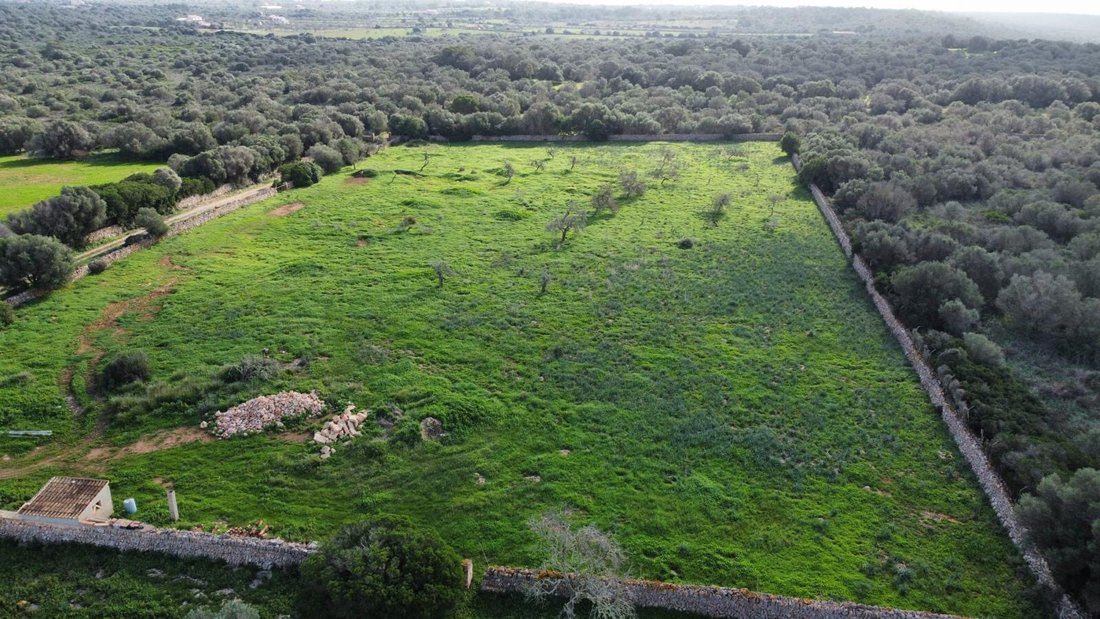 Land in ses Salines, Balearic Islands, Spain 1 - 18014357