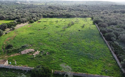 Land in Ses Salines, Balearische Inseln, Spanien 1