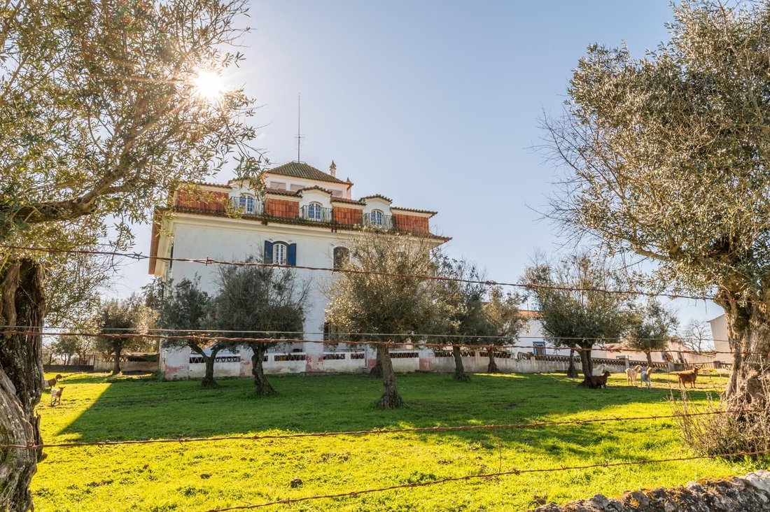 Casa di campagna a Malagueira e Horta das Figueiras, Distretto di Évora, Portogallo 4 - 16465179